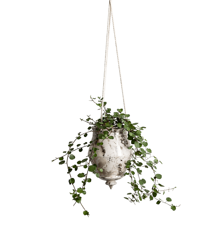 Raku Hanging Cone Planter